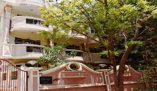 Featured Image of Sattva Orchid