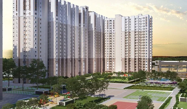 Featured Image of Sattva Signet